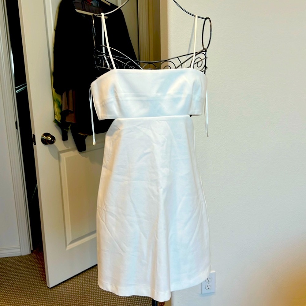 NWT Zara side cutouts mini dress Size M.
